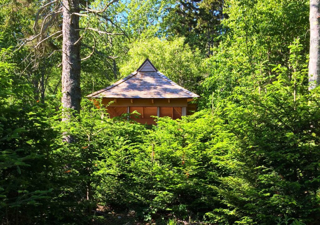 The roof of the Seal Cove Pavilion amidst a lush, green forest.